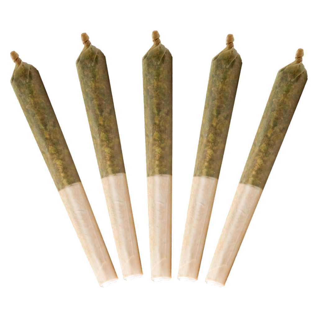 Préroulé infusé au Blue Zlshies - 