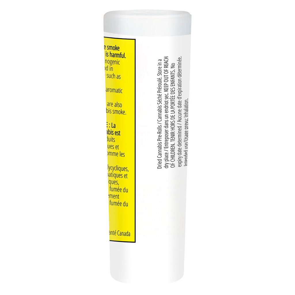 Préroulé Ethos Glue - 