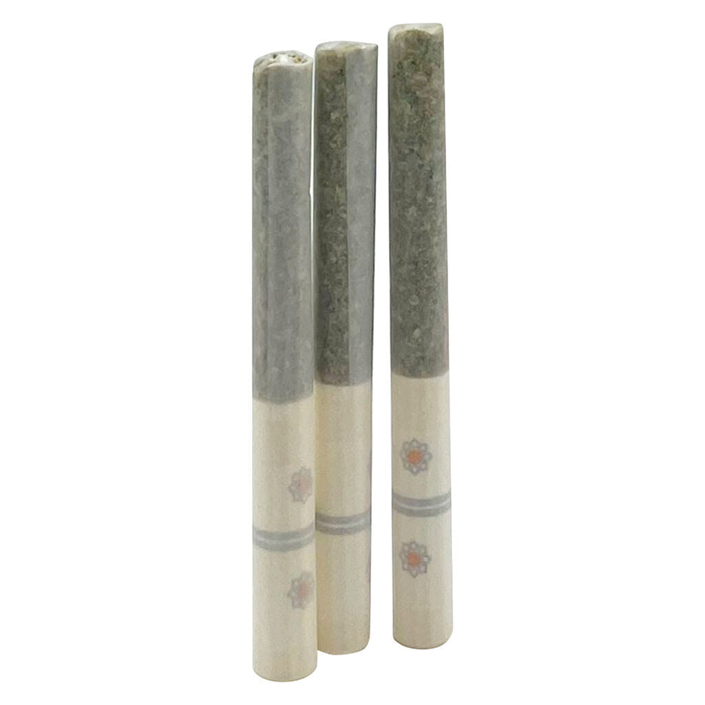 Préroulé Blueberry Blast - 