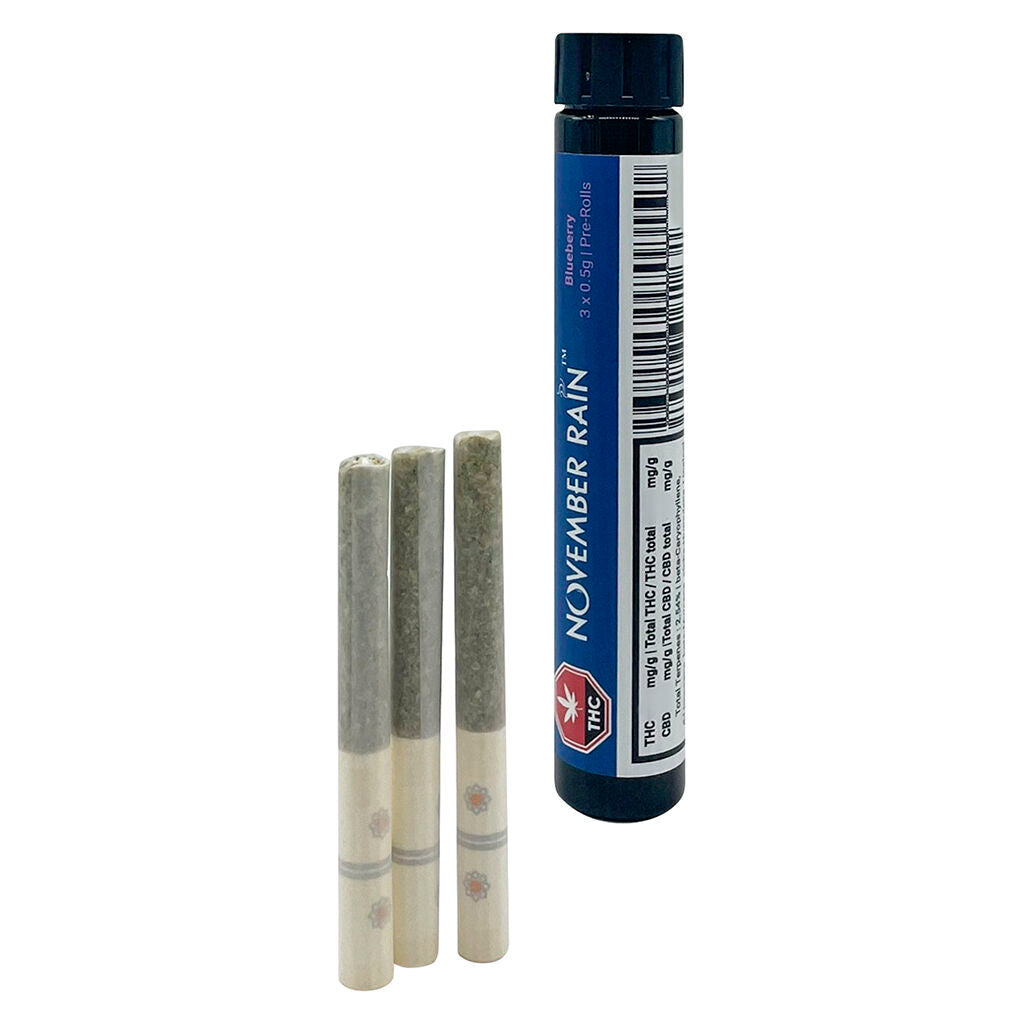 Préroulé Blueberry Blast - 