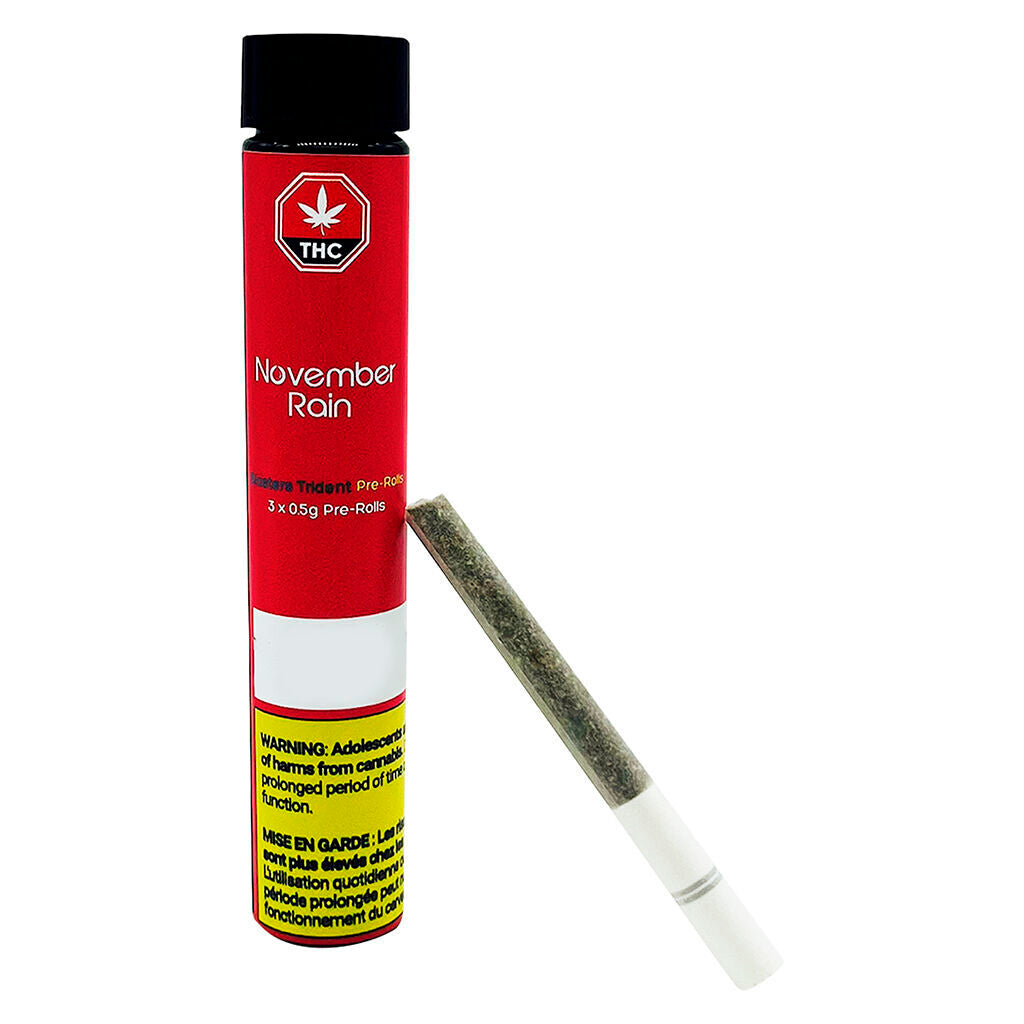 Préroulé Blasters Trident - 