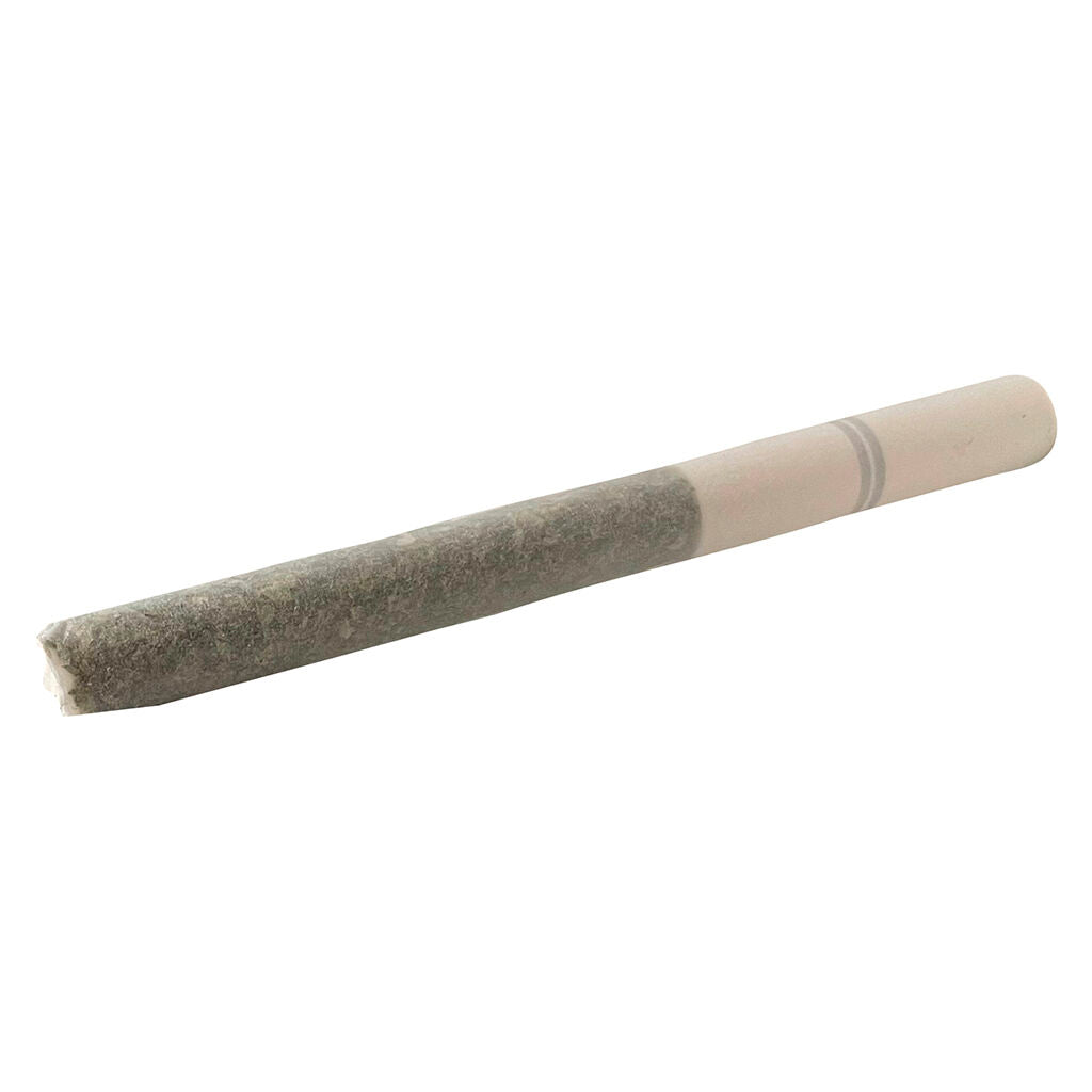 Lemon Ice Tea Pre-Roll - 