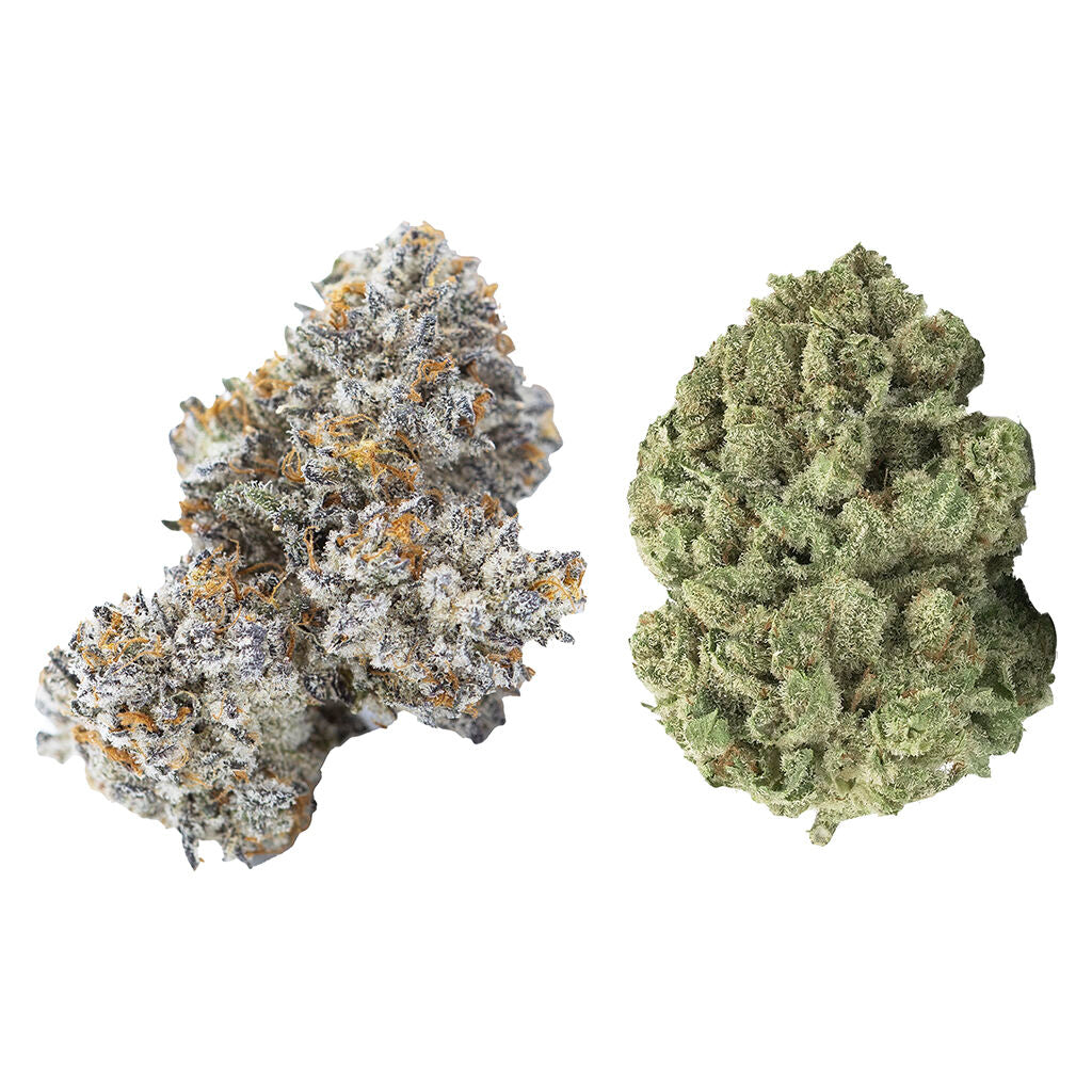 Assortiment de Gold Cash Gold et Pure Michigan - 