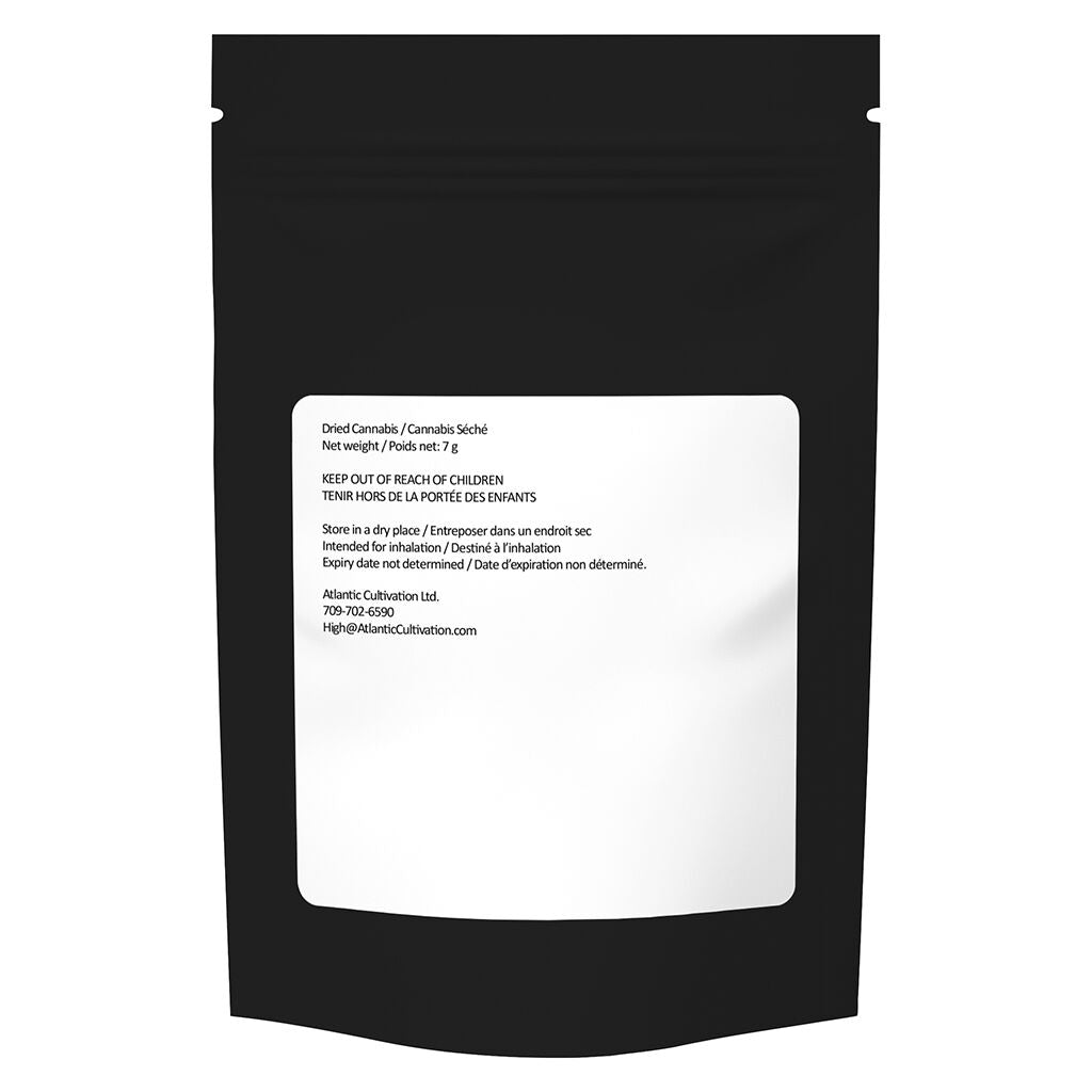 Assortiment de Gold Cash Gold et Pure Michigan - 