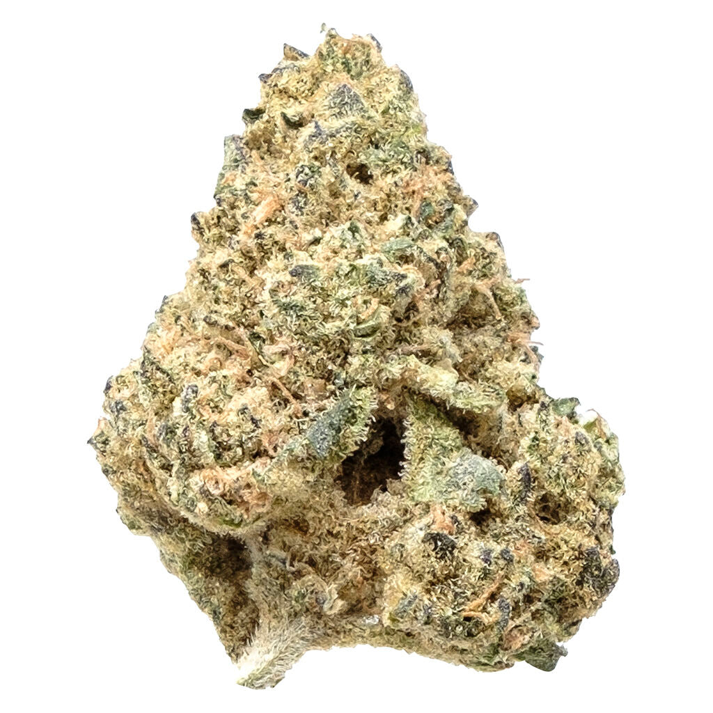 Snicklefritz Sativa - 