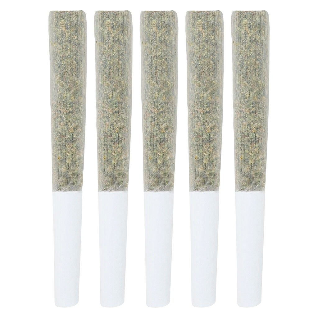 Préroulé AAA+ Sativa - 