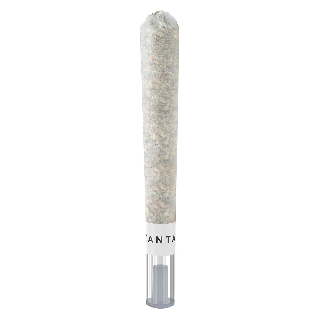 OG Platinum Mints Glass Tip Pre-Roll - 