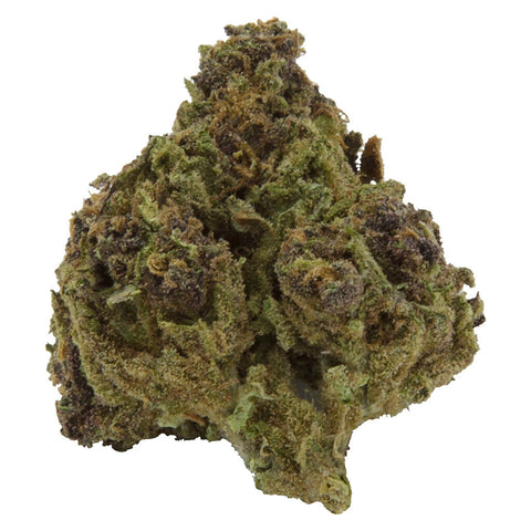 Photo Blueberry Muffin Whole Flower