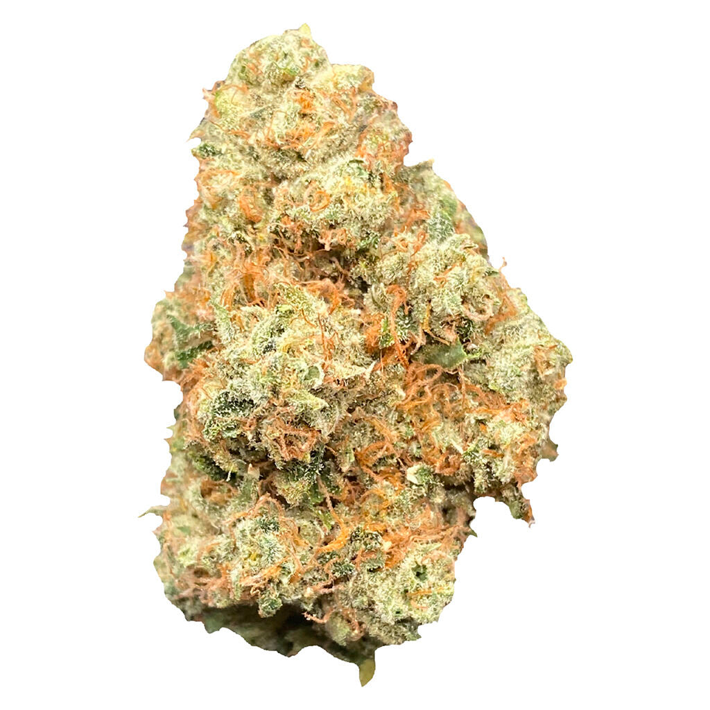 Rntz Muffin #4 - 