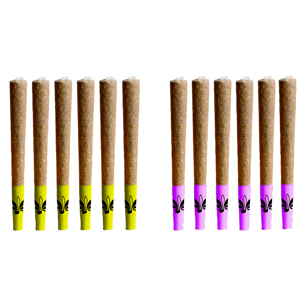 Assortiment Day & Night de préroulé Js - 