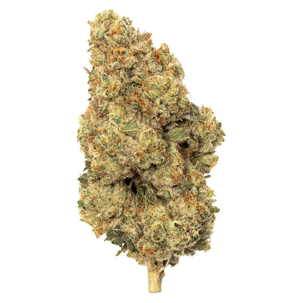 Exotiques - 