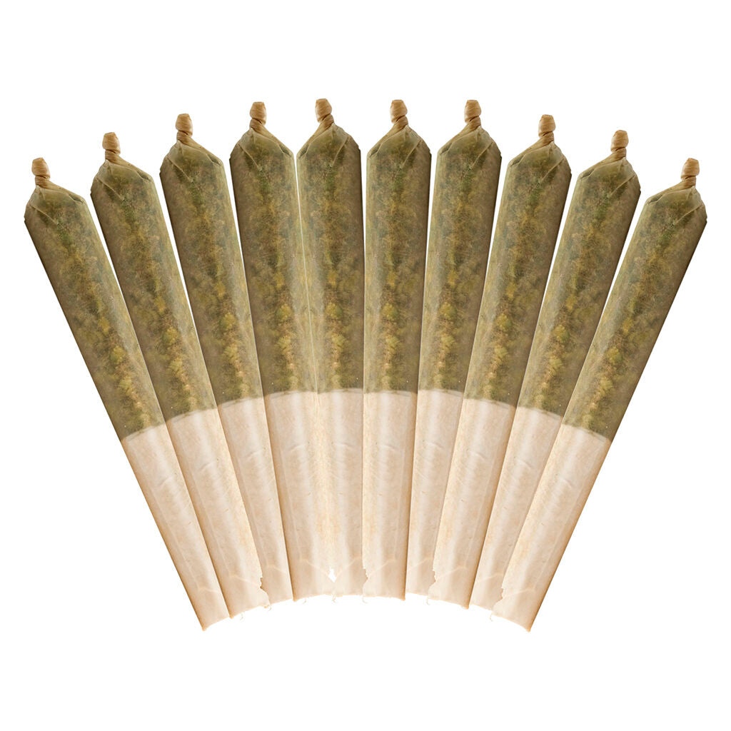 10th Planet Pre-Rolls - 