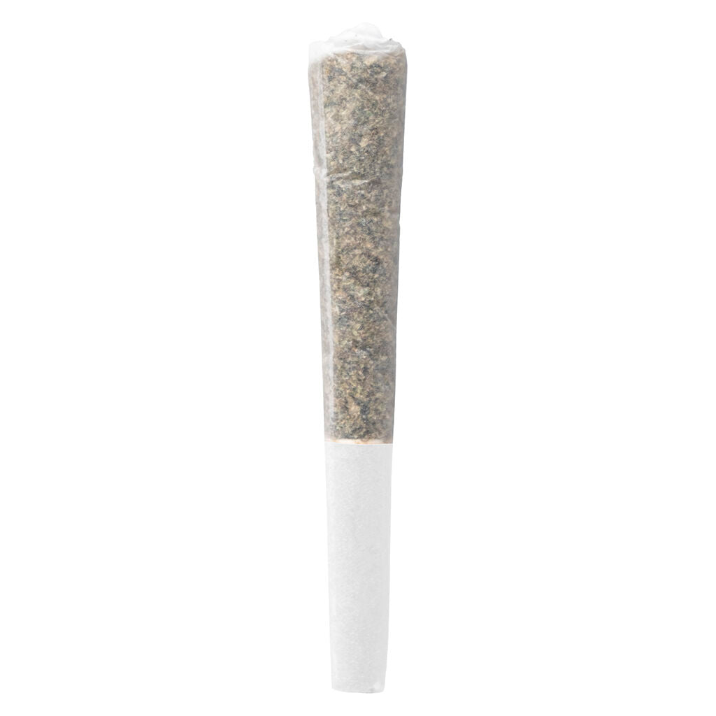 Préroulé infusé au Live Bloom - 
