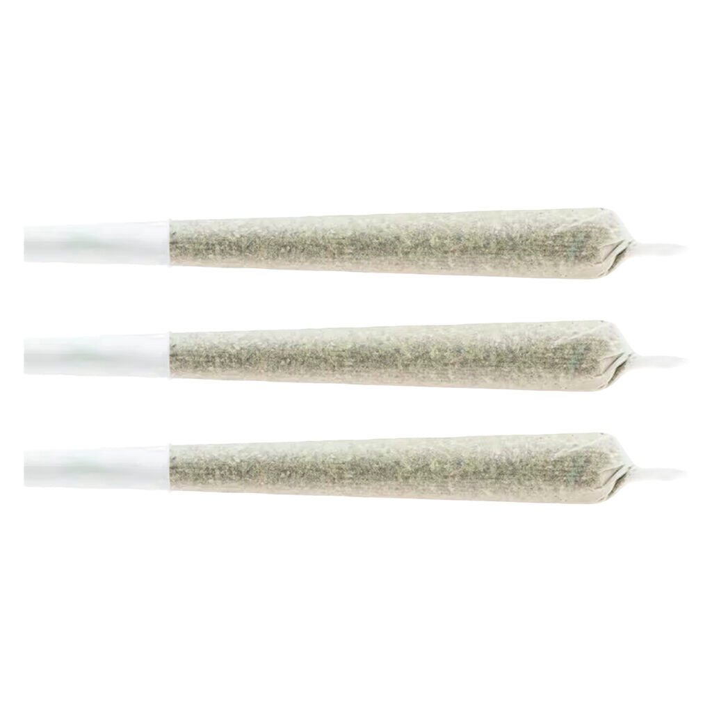 Préroulé STICKS AND STONED - 