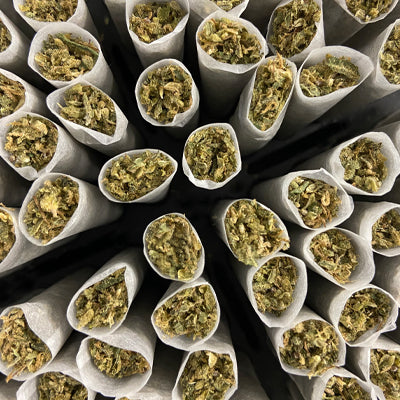 Vertical Cannabis fr 2