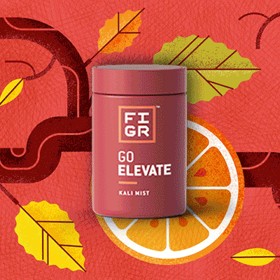 FIGR Brand Page fr 3