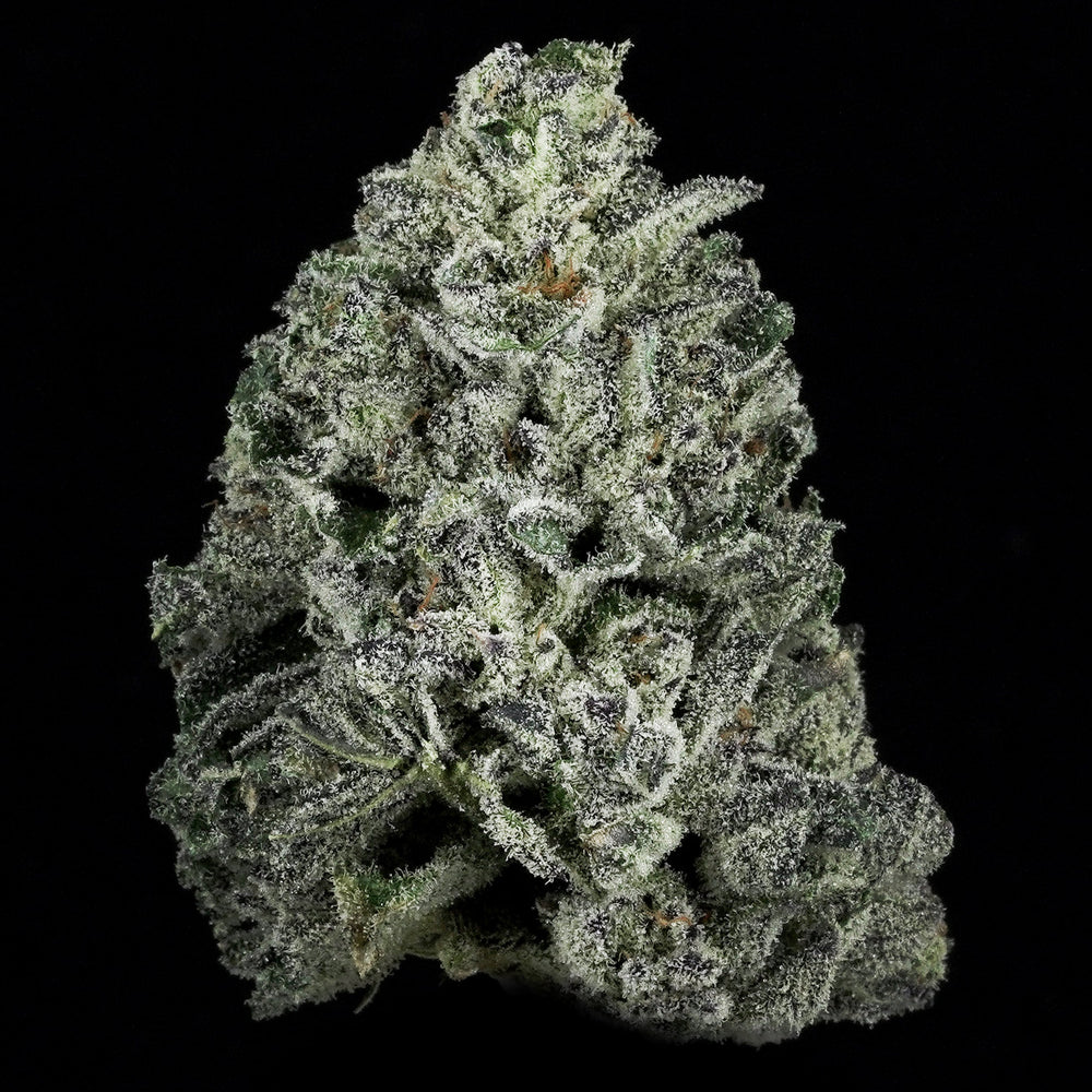 Tantalus Labs Brand Page fr 3