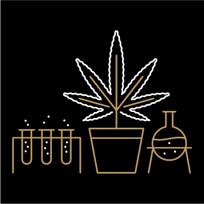 Top Leaf en 3