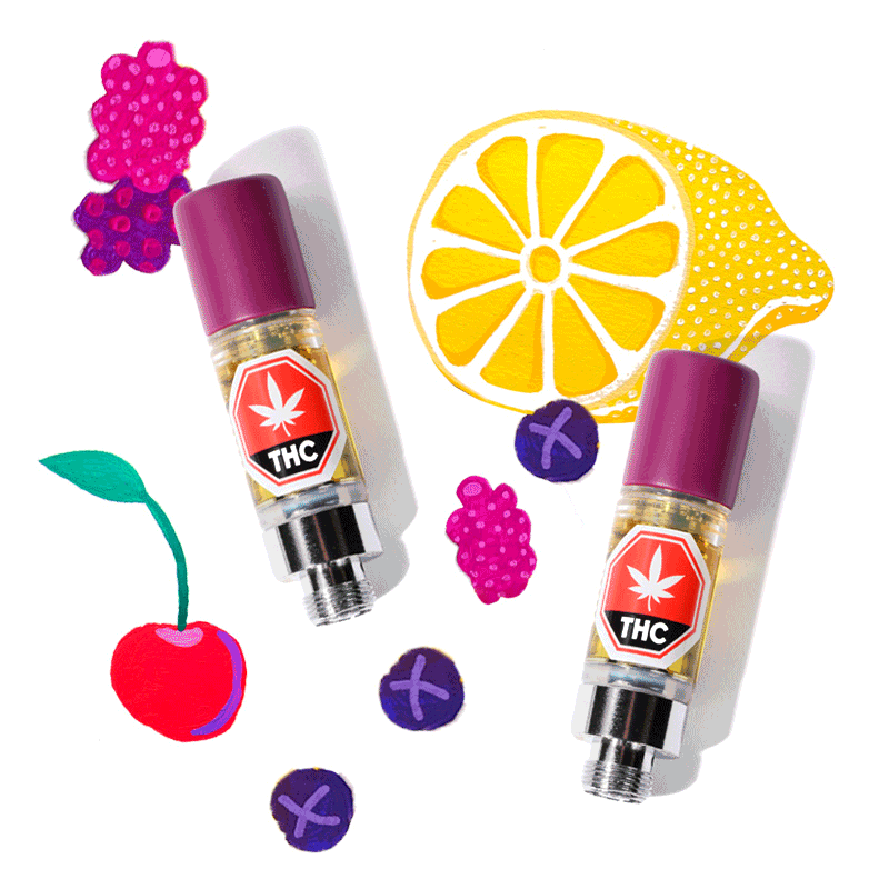 -ness Brand Page en 2
