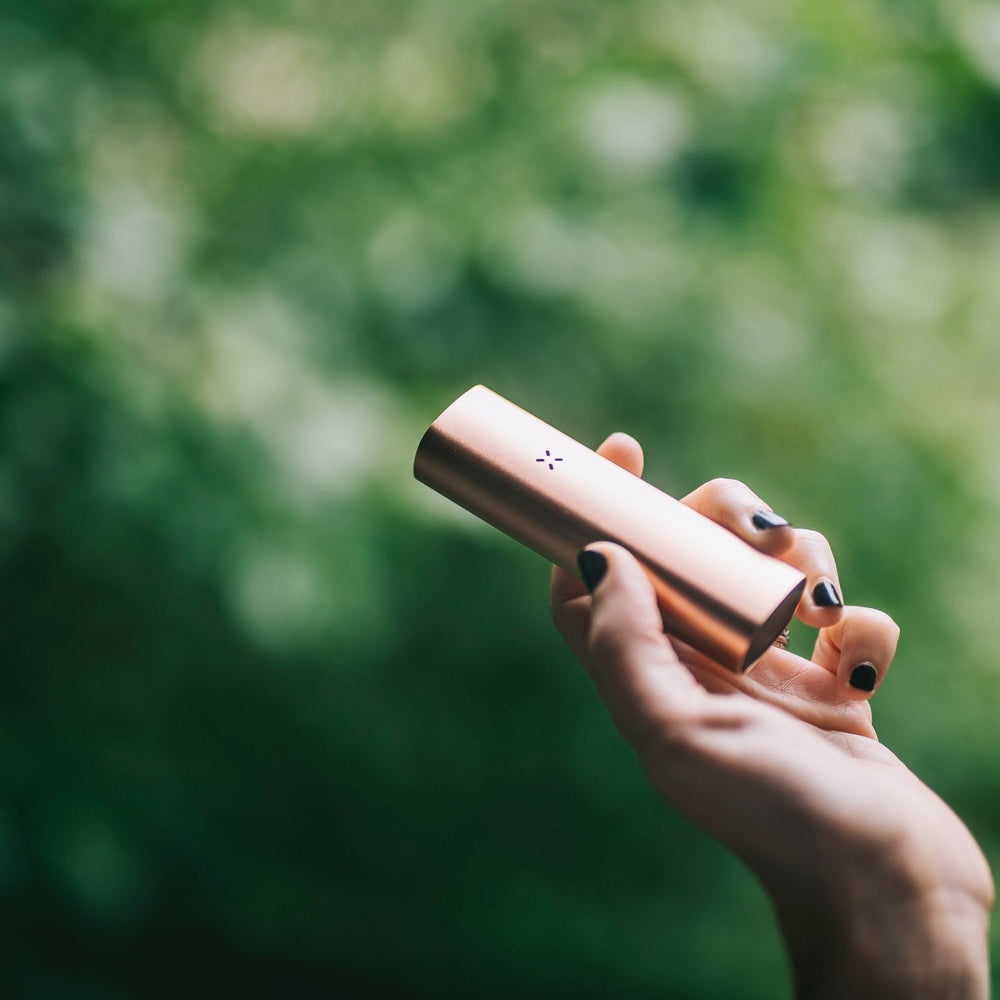 Pax Labs Brand Page en 1